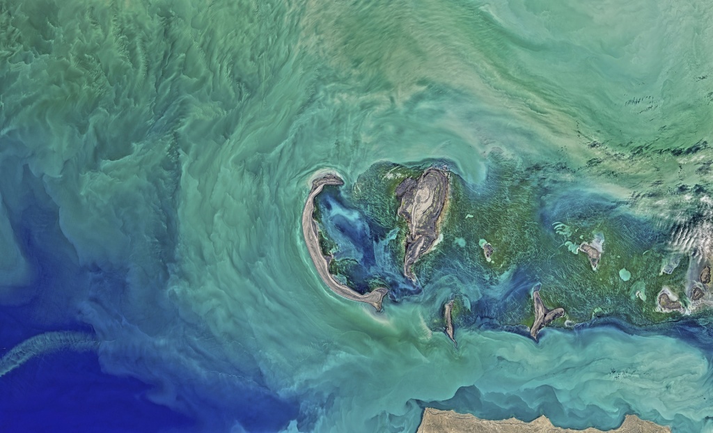 caspian-2577831_1920.jpg
