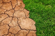 The Energy Charter Treaty and climate change: The need for a closer look